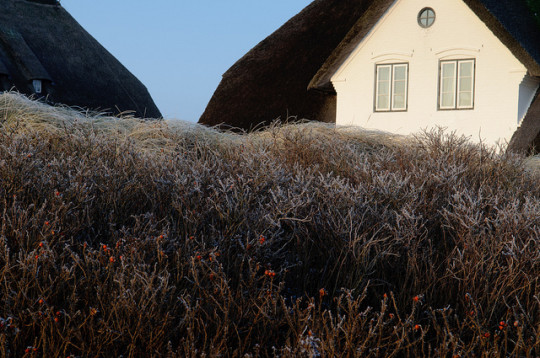 Haus in Kampen (Foto: andreas.zachmann / Flickr)